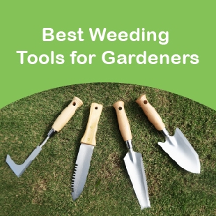 Best Weeding Tools for Gardeners-01.jpg