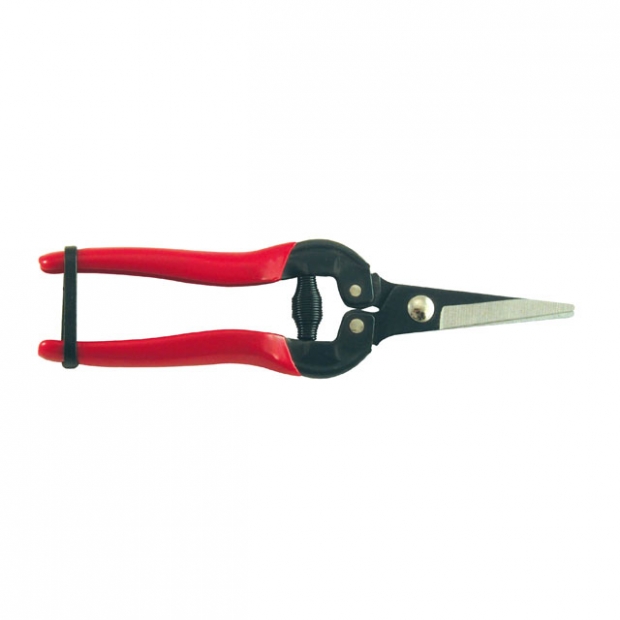 KC-C3154.jpg KC-C3154.jpg